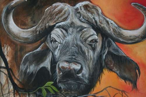 Stunning!*Original Annie Brand (1970-) "Buffalo - Hope" size: 65 x 41cm -Large - on Canvas