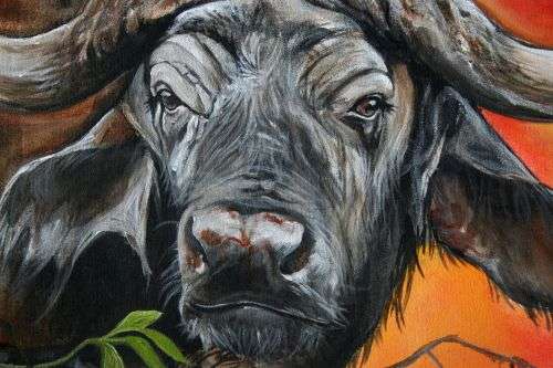 Stunning!*Original Annie Brand (1970-) "Buffalo - Hope" size: 65 x 41cm -Large - on Canvas