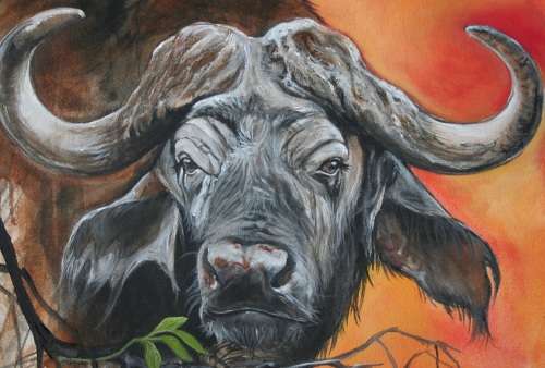 Stunning!*Original Annie Brand (1970-) "Buffalo - Hope" size: 65 x 41cm -Large - on Canvas