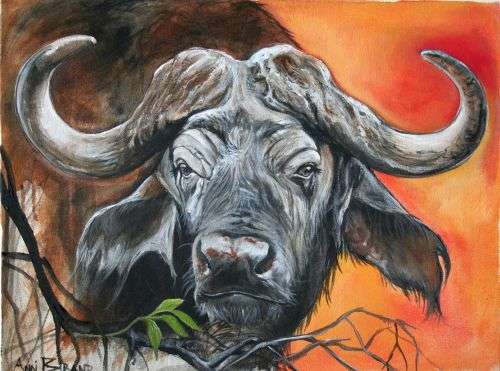 Stunning!*Original Annie Brand (1970-) "Buffalo - Hope" size: 65 x 41cm -Large - on Canvas