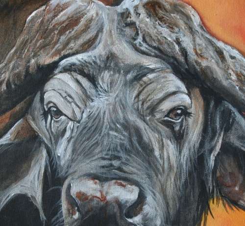 Stunning!*Original Annie Brand (1970-) "Buffalo - Hope" size: 65 x 41cm -Large - on Canvas