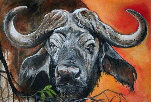 Stunning!*Original Annie Brand (1970-) "Buffalo - Hope" size: 65 x 41cm -Large - on Canvas