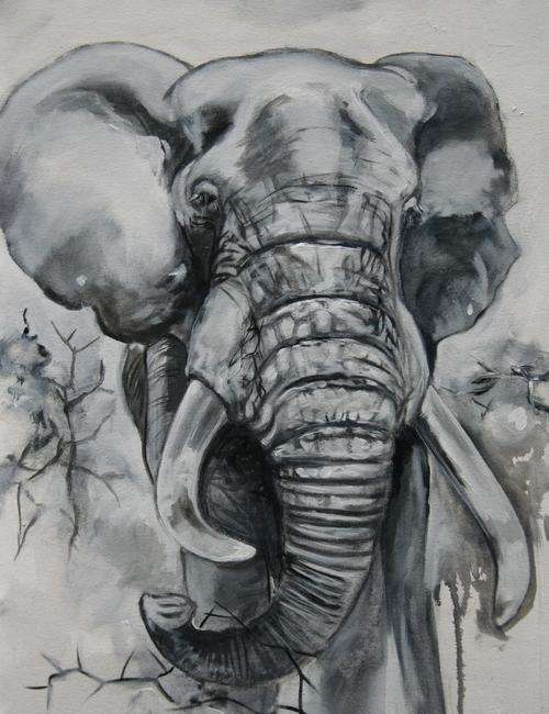 INVESTMENT ART - Original Stella Pelser (1970-) "Indlovu", LARGE - 80 x 60 cm,Not Framed.