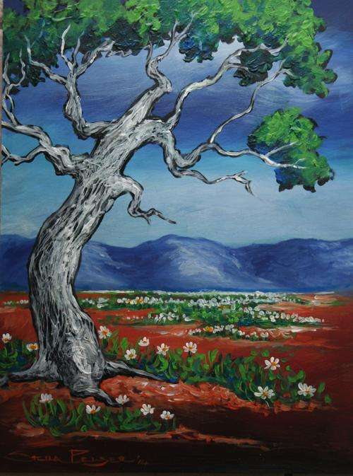 Original Stella Pelser(1970) - "Bolandse Boom 01!" 400 x 300 x 6mm
