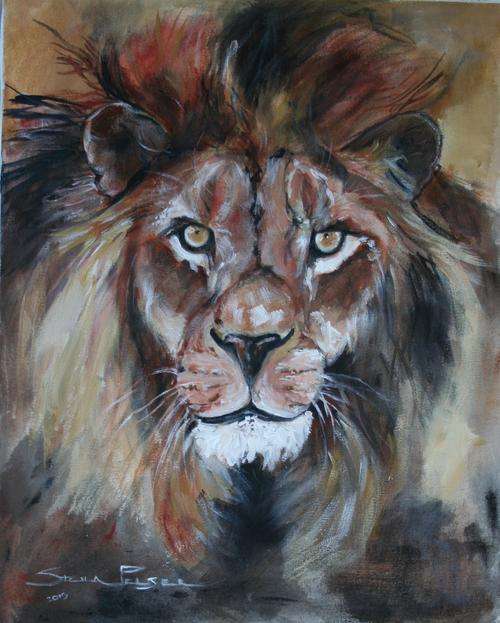 Original Stella Pelser (1970-) "African Lion" - 500 x 400 mm, on Canvas