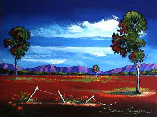 Original painting by Stella Pelser - "Boland Landscape-with old fence in field of daisies" 400 x 300