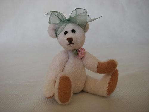 Teddy Bear