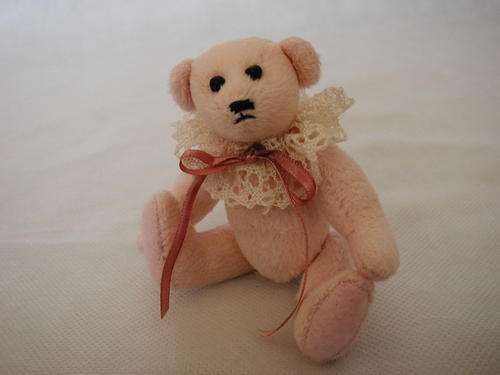 Teddy Bear
