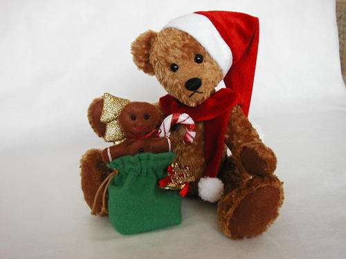 Teddy Bear