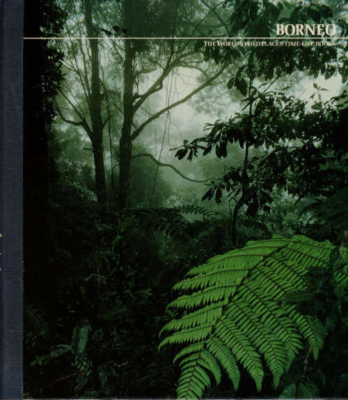 [B:2:S:CC]-Borneo - John Mackinnon