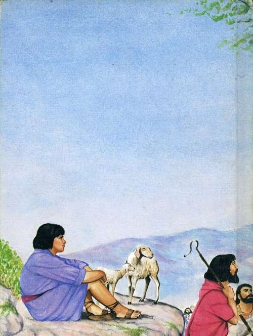 [B:2:S:CC:K]-Stories Jesus Told - Elaine Ife