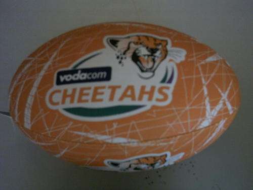 Gilbert Supporter BALL CHEETAHS