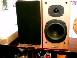 Tannoy Mercury M2 Bookshelf speakers (Shipping R120)
