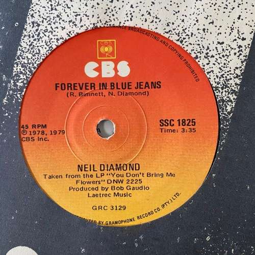 10 x 7 Singles Vinyl Blackfoot Cyndi Lauper Pretenders Patti La Belle Michael McDonald