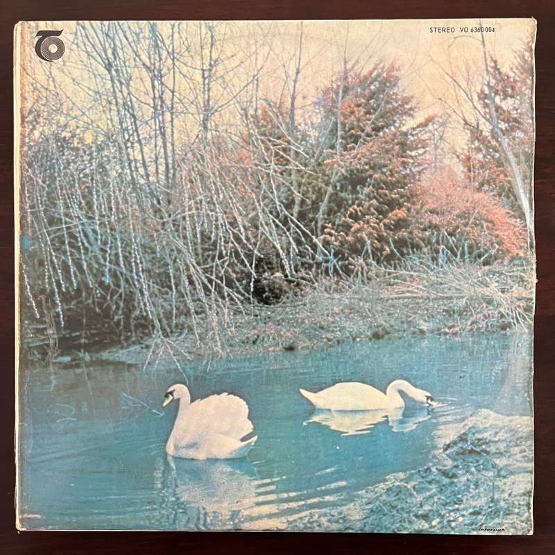 Affinity - Affinity Vinyl LP Rare Psychedelic Prog Rock South African Press Vertigo Swirl