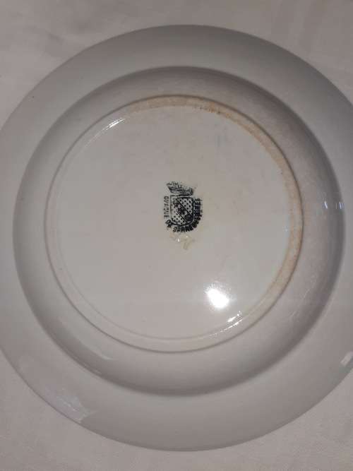 RARE ANTIQUE OPAQUE DE SARREGUEMINES PLATE