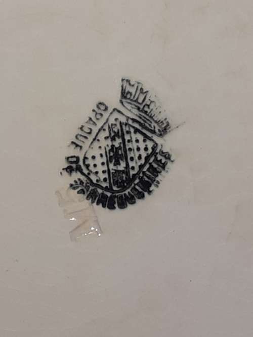 RARE ANTIQUE OPAQUE DE SARREGUEMINES PLATE