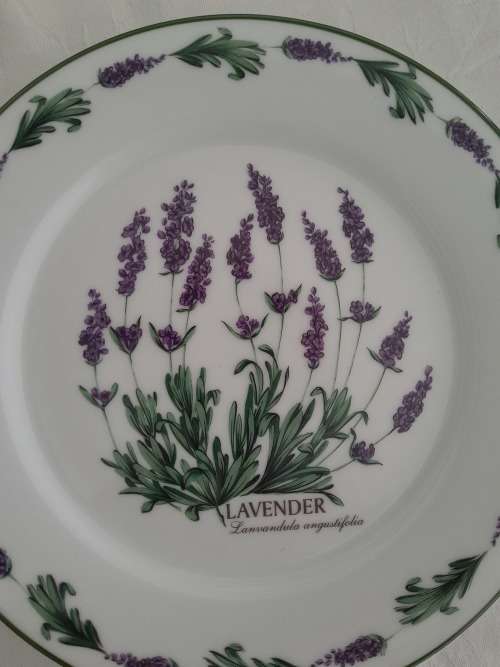 BEAUTIFUL NEW WIESENTHAL LAVENDER TEA TRIO