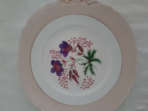 BEAUTIFUL COLCLOUGH CAKE PLATTER