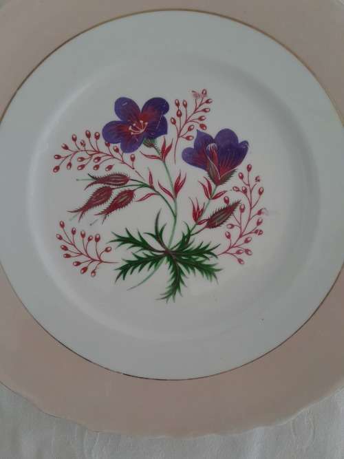 BEAUTIFUL COLCLOUGH CAKE PLATTER