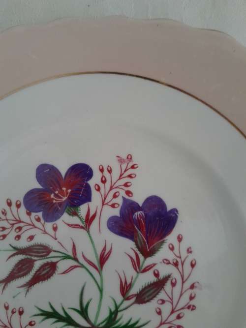 BEAUTIFUL COLCLOUGH CAKE PLATTER