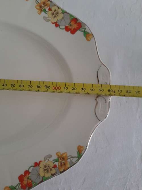 BEAUTIFUL ALFRED MEAKIN PLATTER