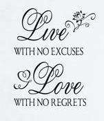 Vinyl decal Live with no excuses