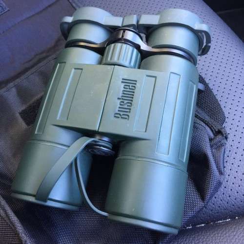 Bushnell Trophy 10x42 binoculars, 290 ft fov see actual photos.