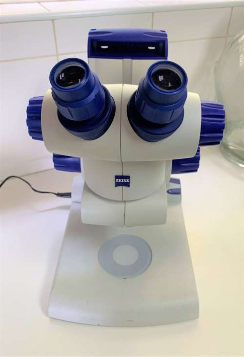 Carl Zeiss Stemi DV4 Stereo Microscope with Stand, retails for over R20 000.00