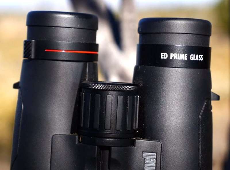 Bushnell Legend M-series 8x42, black