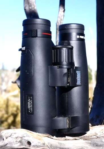 Bushnell Legend M-series 8x42, black