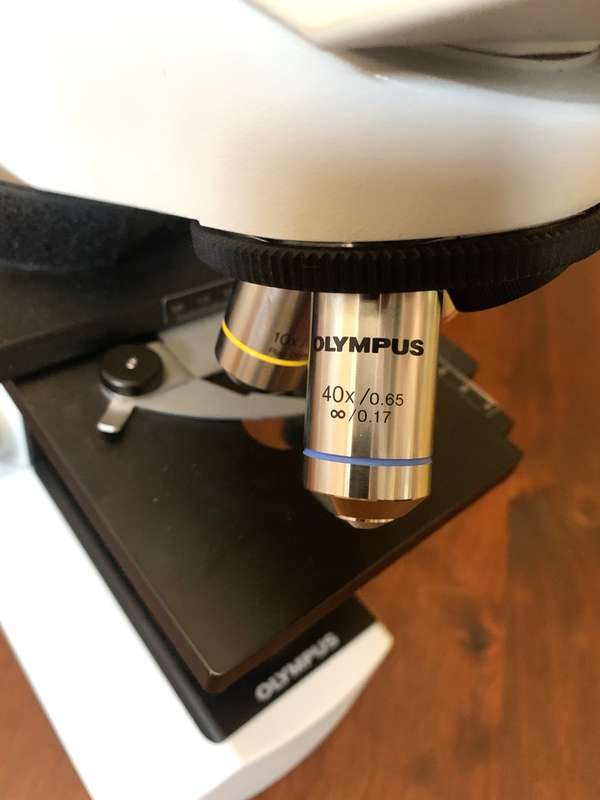 Olympus CX21 Microscope, never used retails for R15000 and more.