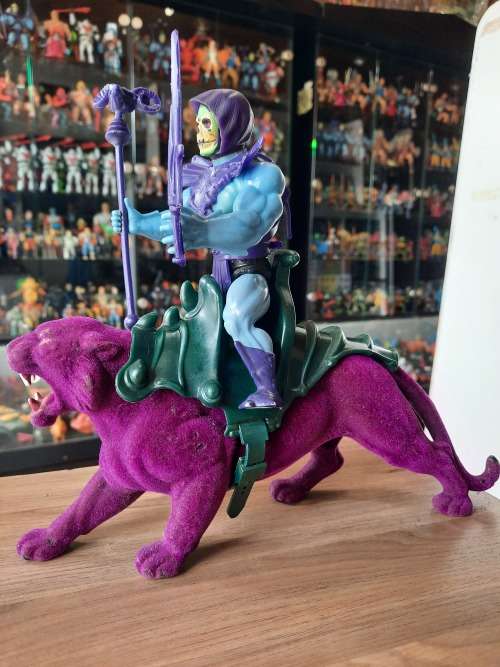 1981 Complete Skeletor And Panthor of He-Man Masters of the Universe #811 (MOTU) Vintage Figure
