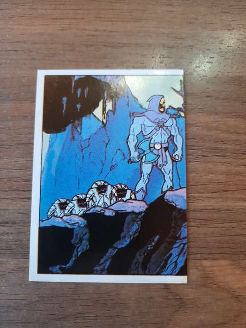 1983 MOTU PANINI STICKER 10 (MOTU) Vintage Figure
