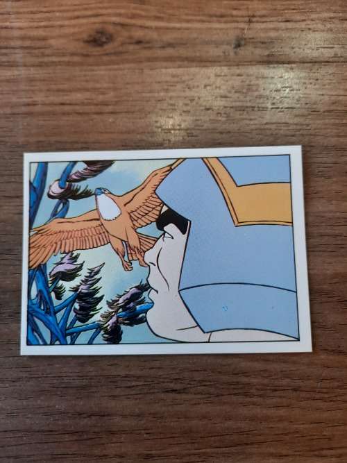 1983 MOTU PANINI STICKER 35 (MOTU) Vintage Figure