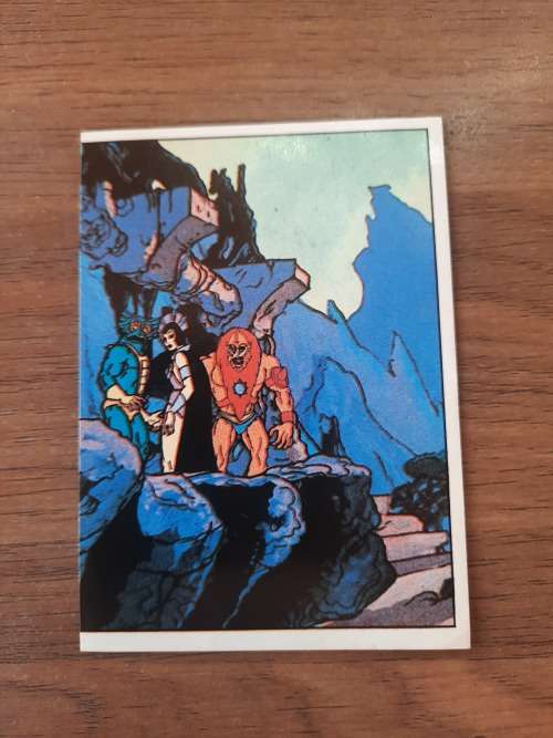 1983 MOTU PANINI STICKER 11 (MOTU) Vintage Figure