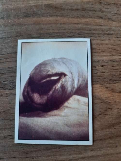 1984 DUNE Panini Sticker 49