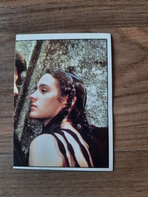 1984 DUNE Panini Sticker 94