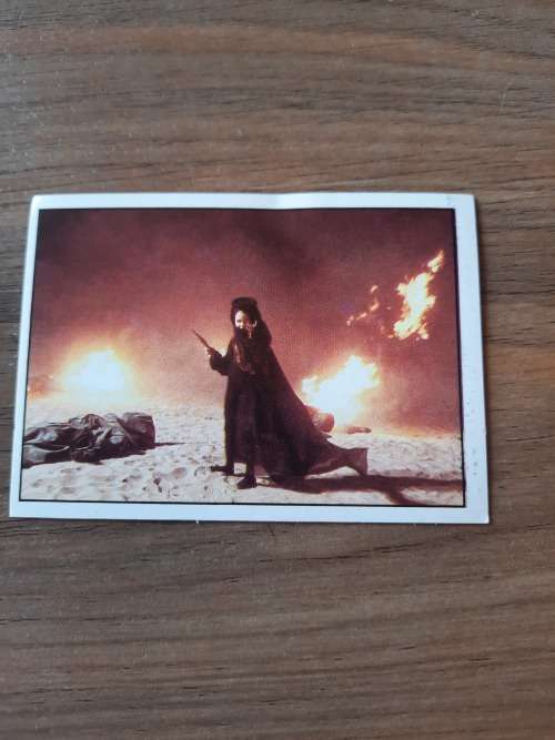 1984 DUNE Panini Sticker 133