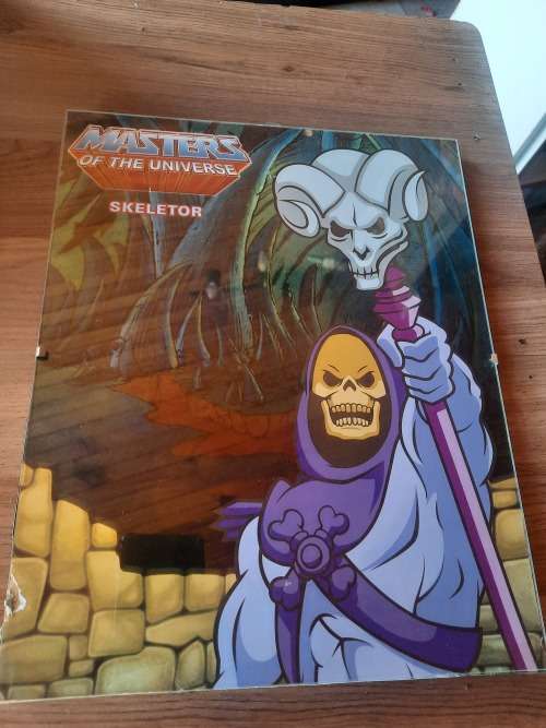 MOTU Framed Picture `SKELETOR` of He-Man-Masters of the Universe (MOTU)