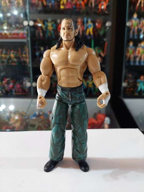 WWE 2006 MATT HARDY Wrestling Figure Jakks Pacific