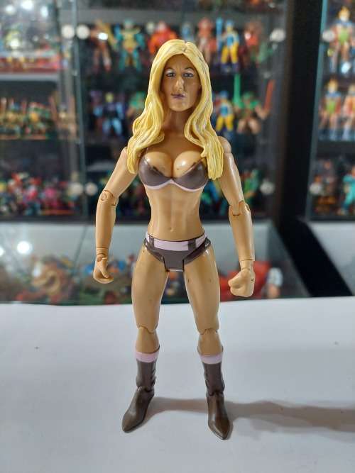 WWE 2003 TORI WILSON Wrestling Figure Jakks Pacific