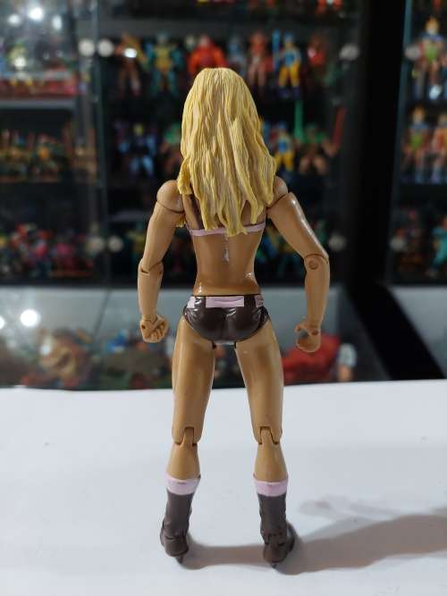 WWE 2003 TORI WILSON Wrestling Figure Jakks Pacific