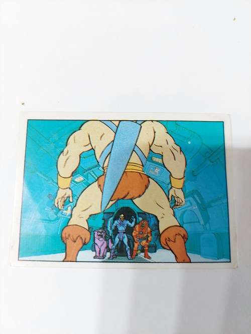 1983 MOTU PANINI STICKER 162 (MOTU) Vintage Figure