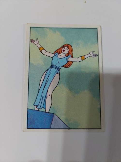 1983 MOTU PANINI STICKER 195 (MOTU) Vintage Figure