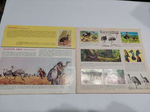 1979 BIRDS PANINI STICKER ALBUM 278/288 Stickers Present Vintage Figure