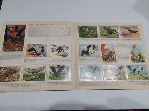 1979 BIRDS PANINI STICKER ALBUM 278/288 Stickers Present Vintage Figure