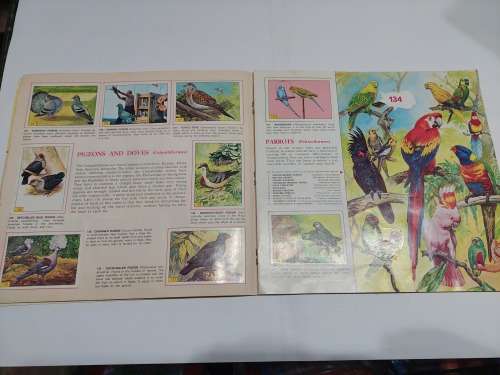 1979 BIRDS PANINI STICKER ALBUM 278/288 Stickers Present Vintage Figure