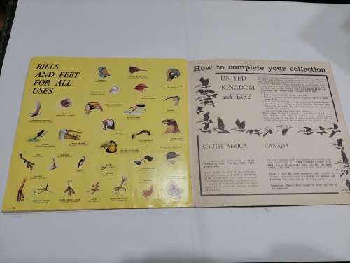 1979 BIRDS PANINI STICKER ALBUM 278/288 Stickers Present Vintage Figure