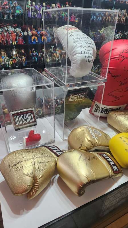 SIGNED BOXING GLOVE COLLECTION